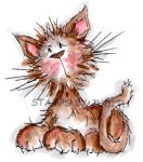 R-67-HK Sitting Fraz Cat